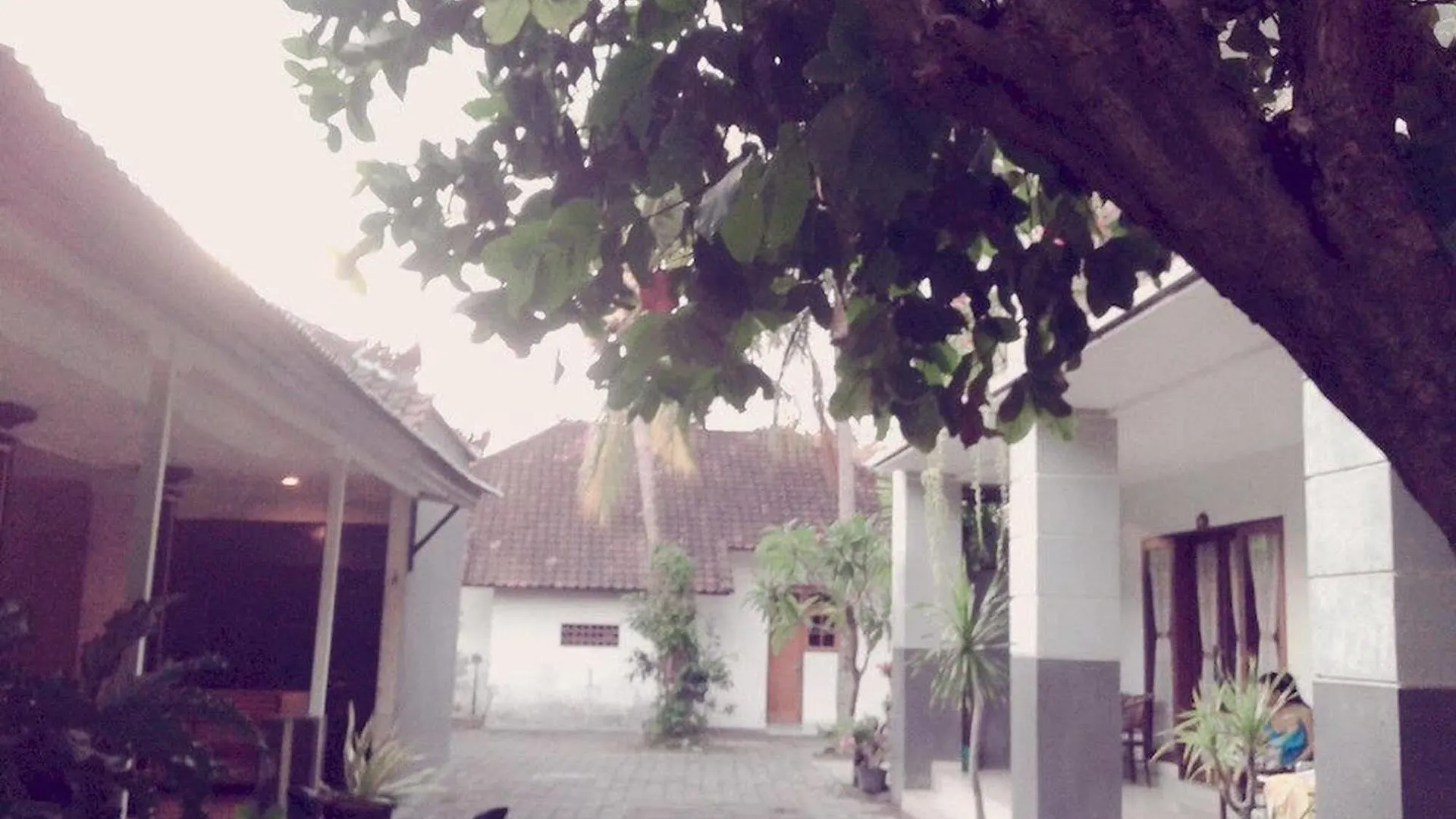 Swandewi Homestay Kuta